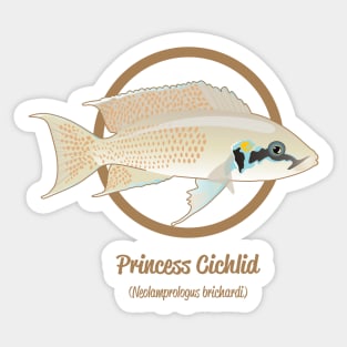 Princess Cichlid Sticker